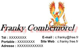exemple de carte de visite